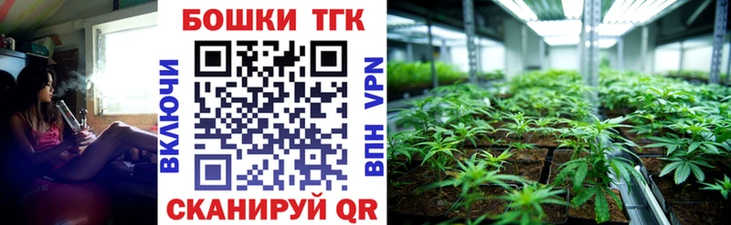  COCAIN Реутов