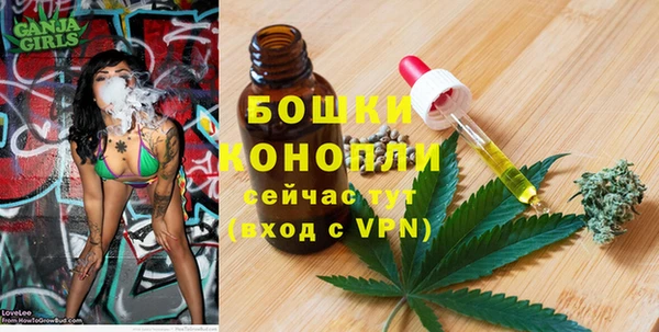 тгк Елизово