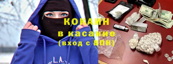 мет Ельня