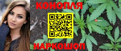 гидропоника Тула