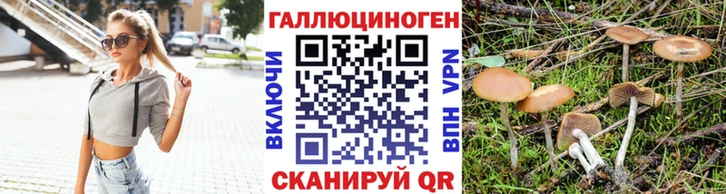 мега ссылка  Реутов  Галлюциногенные грибы Cubensis 