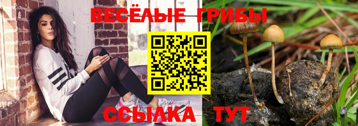 Псилоцибиновые грибы Psilocybine cubensis  Вход с VPN  Реутов 